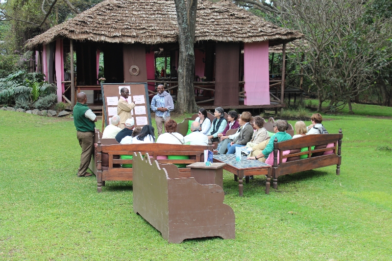 Coffee Garden at Arusha Coffee Plantation, Tanzania