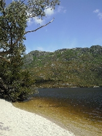 Lake Lilly at Cradle Mountain