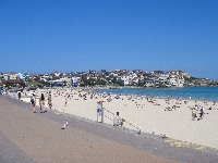 Best Sydney beaches
