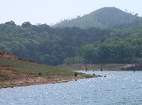 Cruising through Periyar National Park.