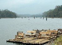 Boat ramp at Periyar National Park.