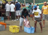 Fish market in Puerto Lopez