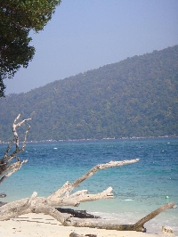 Photos of the beach at Ko Rawi