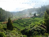 Panoramic photos of the Nilgiri Hills in Kerala, India.