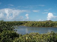 Inland pond in Aguilla, Lesser Antilles