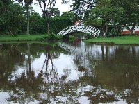 Georgetown's Botanical Gardens Guyana Holiday Adventure