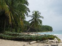 Bocas del Toro on Isla Colon Panama Holiday Pictures