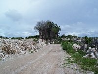 Nauru Island Pictures Yaren Story Sharing