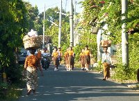 Lovina Beach Bali Indonesia Trip Experience