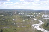 Okavango Delta safari tour Maun Botswana Album Pictures