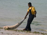 Pongwe Beach Resort Zanzibar Tanzania Travel Adventure