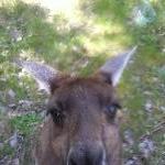 Dunsborough Australia