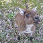 Dunsborough Australia