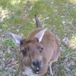 Dunsborough Australia