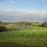 Margaret River Australia The Vineyard