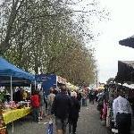 The Salamanca markets in Hobart Australia Photo Gallery