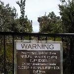 Rocky lookout at Cradle Mountain