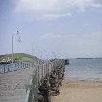 The jetty in Coffs Harbour