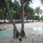 Parklands beach in Brisbane