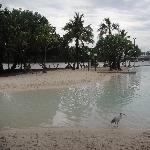 Brisbane Swimming Lagoon