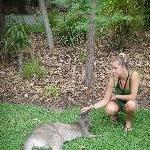 The Steve Irwin Australia Zoo in Beerwah, Queensland Picture Sharing