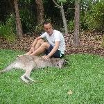 The Steve Irwin Australia Zoo in Beerwah, Queensland Travel Adventure