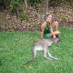 The Steve Irwin Australia Zoo in Beerwah, Queensland Vacation Tips