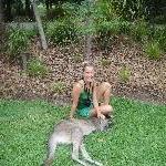 The Steve Irwin Australia Zoo in Beerwah, Queensland Travel Blog