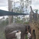 The Steve Irwin Australia Zoo in Beerwah, Queensland Review