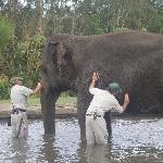 The Steve Irwin Australia Zoo in Beerwah, Queensland Album Pictures