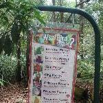 The Steve Irwin Australia Zoo in Beerwah, Queensland Travel Picture