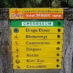 The Steve Irwin Australia Zoo in Beerwah, Queensland Vacation Pictures