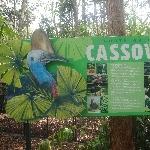 The Steve Irwin Australia Zoo in Beerwah, Queensland Travel Photos