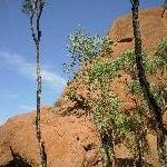 Base Tour around Uluru