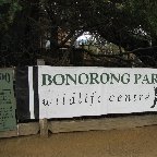 Brighton Australia Bonorong Wildlife Conservation Park