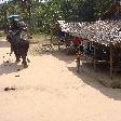 Kanchanaburi Thailand Elephant ride through the village