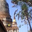 Pictures taken at Wat Yai Chaimonkhol 
