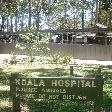 Port Macquarie Australia The Koala hospital in Port Macquarie