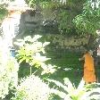 Monk in the gardens of Wat Si Saket