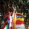 Sacred tree decorations in Savannakhet