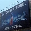 Catania Italy Red Bull campaign in Catania