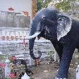 The Elephant statue 