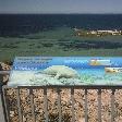 Dugongs around Dirk Hartog Island