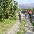 Crete Greece Picking oranges on a cycle tour 