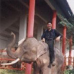 Photo of me on an elephant in Bangkok.