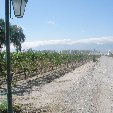 Mendoza Argentina Photos of the Mendoza wine region in Argentina