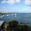 Saint Vincent and the Grenadines sailing Kingstown Photography