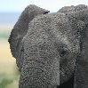 Kenya safari packages Amboseli Blog Photos