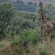 Kenya safari packages Amboseli Travel Experience