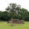 Mayan ruins in Honduras Copan Blog Photos